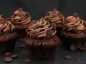 Preview: Chocolate Lover's Cupcakes 355g