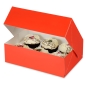 Mobile Preview: Cupcake Box Rot für 6 cupcakes