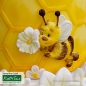 Mobile Preview: Fondantform Bienenwabe Groß