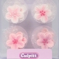 Preview: Zuckerblumen "Pinke Blumen", 10 Stück, Rosa/Pink & Weiß, 2,5 cm, Culpitt