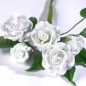 Preview: Renshaw Blütenpaste weiß, 250 g