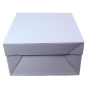 Preview: Tortenkarton 22,5x22,5x15 cm Beispiel 2