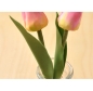 Preview: SK Cupcakes Veiner Tulpen-Blätter Präger Set  18 cm