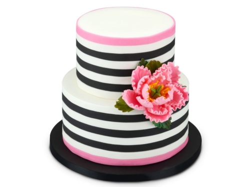 Cake-Masters Rollfondant PREMIUM PLUS rosa 250g