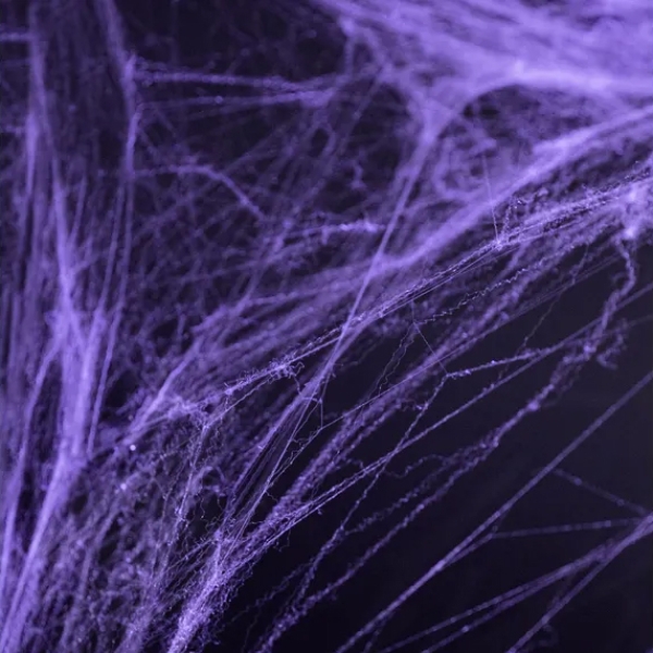 Spinnennetz / Spinnweben, 60 g, lila