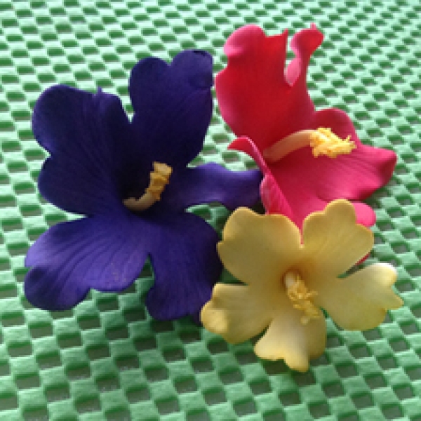 FMM Ausstecher für Fondant & Blütenpaste 'Hawaiian Flower', 3 Stk.