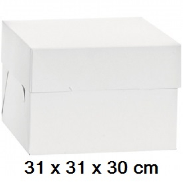 Extra hohe Karton 31 x 31 x 30 cm
