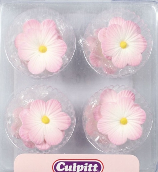 Culpitt, 10 Zuckerblumen "Gänseblümchen", Rosé-Weiß, á 2,2 cm