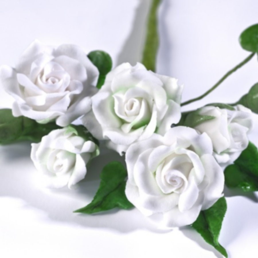 Renshaw Blütenpaste weiß, 250 g